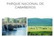 PARQUE NACIONAL DE CABAÑEROS. LOCALIZACIÓN El parque nacional de Cabañeros està situado en Castilla La Mancha, entre las provincias de Ciudad Real y Toledo