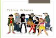 Tribus Urbanas.  Es un grupo de personas que se comporta de acuerdo a las ideologías de una subcultura, que se origina y se desarrolla en el ambiente
