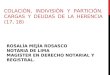 ROSALÍA MEJÍA ROSASCO NOTARIA DE LIMA MAGISTER EN DERECHO NOTARIAL Y REGISTRAL. COLACIÓN, INDIVISIÓN Y PARTICIÓN. CARGAS Y DEUDAS DE LA HERENCIA (17, 18)