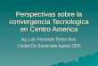Perspectivas sobre la convergencia Tecnologica en Centro America Ing. Luis Fernando Torres Diaz. Ciudad De Guatemala Agosto 2005