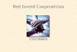 COLOMBIA Red Juvenil Cooperativista. Sector solidario Sector cooperativo Pre-cooperativas Cooperativas Organismos de segundo y tercer grados Administraciones