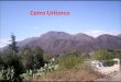 Cerro Uritorco. El Cerro Uritorco con sus 1979 msnm. es el pico más alto de las Sierras Chicas, está ubicado en la Ciudad de Capilla del Monte – Valle