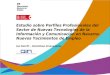 Estudio sobre Perfiles Profesionales del Sector de Nuevas Tecnologías de la Información y Comunicación en Navarra. Nuevos Yacimientos de Empleo Ion Gorriti