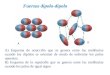 A) Esquema de atracción que se genera entre las moléculas cuando los dipolos se orientan de modo de enfrentar los polos opuestos. B) Esquema de la repulsión