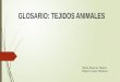GLOSARIO: TEJIDOS ANIMALES María Beamuz Molero Beatriz López Vázquez