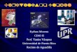 Eythan Morenu CISO II Prof. Yanira Vásquez Universidad de Puerto Rico Recinto de Aguadilla