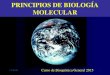 119/07/2015 PRINCIPIOS DE BIOLOGÍA MOLECULAR Curso de Bioquímica General 2015