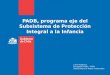 PADB, programa eje del Subsistema de Protección Integral a la Infancia Lucía Vergara D. Encargada PADB – PARN Subsecretaría de Redes Asistenciales