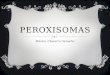 PEROXISOMAS Mónica Chavarro Camacho. LOS PEROXISOMAS son orgánulos citoplasmáticos que contienen enzimas que catalizan la producción y descomposición