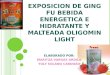 EXPOSICION DE GING FU BEBIDA ENERGETICA E HIDRATANTE Y MALTEADA OLIGOMIN LIGHT ELABORADO POR: MARITZA VARGAS ARDILA YULY SOLANO CARDOZO