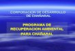 CORPORACION DE DESARROLLO DE CHAÑARAL PROGRAMA DE RECUPERACION AMBIENTAL PARA CHAÑARAL