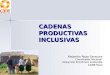 CADENAS PRODUCTIVAS INCLUSIVAS Alejandro Rojas Sarapura Coordinador Nacional Desarrollo Económico Sostenible CARE Perú