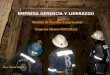 EMPRESA GERENCIA Y LIDERAZGO Empresa Minera MACDESA Modulo de Gestión Empresarial Dra. Áurea Díaz C