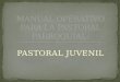 PASTORAL JUVENIL. A. Definición de la Pastoral Juvenil Parroquial. B. Destinatarios y Diferenciación. C. Diagrama de procesos para iniciar una Pastoral