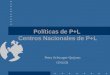 Políticas de P+L Centros Nacionales de P+L Petra Schwager-Quijano ONUDI