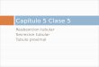 Reabsorcion tubular Secrecion tubular Tubulo proximal Capítulo 5 Clase 5