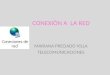 CONEXIÒN A LA RED MARIANA PRECIADO VILLA TELECOMUNICACIONES