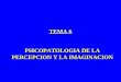 TEMA 6 PSICOPATOLOGIA DE LA PERCEPCION Y LA IMAGINACION