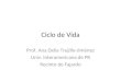 Ciclo de Vida Prof. Ana Delia Trujillo-Jiménez Univ. Interamericana de PR Recinto de Fajardo