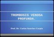 TROMBOSIS VENOSA PROFUNDA. Prof. Dr. Carlos Sanchez Carpio