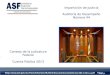 ASF | 1 Consejo de la Judicatura Federal Cuenta Pública 2013 Impartición de Justicia Auditoría de Desempeño Número 44 