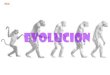 Charles Darwin (1809 – 1882), el “padre” de la Teoría de la Evolución por Selección Natural