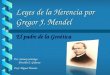 Leyes de la Herencia por Gregor J. Mendel El padre de la Genética Por: Samary Santiago Priscilla E. Galarza Prof: Miguel Morales