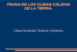 FAUNA DE LOS CLIMAS CÁLIDOS DE LA TIERRA. Climas Ecuatorial, Tropical y Desértico