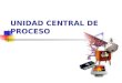 UNIDAD CENTRAL DE PROCESO. NO SON CPU, SON CASES