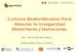 Cultivos Biofortificados Para Abordar la Inseguridad Alimentaria y Nutricional. Sec. Educación del Cauca Sayda Milena Pico Fonseca