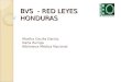 BVS - RED LEYES HONDURAS Martha Cecilia García. Karla Zuniga Biblioteca Médica Nacional