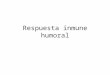 Respuesta inmune humoral. Generalidades (1) Se llama humoral porque está mediada por anticuerpos. Es el principal mecanismo de defensa contra microorganismos