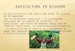 La agricultura ha sido practicada desde los inicios de la humanidad. Con la revolución industrial y la consecuente necesidad del incremento de alimentos,