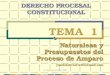 © Jose Luis Silvestre 2009 TEMA 1 Naturaleza y Presupuestos del Proceso de Amparo yoseluisilvestre@hotmail.com DERECHO PROCESAL CONSTITUCIONAL 1