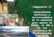 Componente II Conocimiento biofísico y socioeconómico de la Amazonía para apoyar la ERDBA, la ZEE y el uso sostenible de la diversidad biológica Presentado