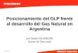 Abril del 2001 Posicionamiento del GLP frente al desarrollo del Gas Natural en Argentina por Daniel QUARLERI Asesor de Directorio