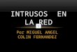 Por MIGUEL ANGEL COLIN FERNANDEZ INTRUSOS EN LA RED