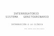 INTERROGATORIO SISTEMA GENITOURINARIO INTRODUCCIÓN A LA CLÍNICA Mtte. Martha Laura Pérez Huerta