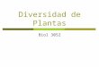 Diversidad de Plantas Biol 3052. Plantas: Por más de 3 billones de años la superficie de la tierra estuvo sin vida. Desde que colonizaron la tierra, las