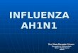 INFLUENZA AH1N1 Dra. Maga Barragán Llerena Encargada de Epidemiología Micro - Red de Surco MINSA