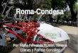 Roma-Condesa Por: María Fernanda Roldán, Ximena Llamas y Patricia González