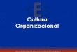 Qué es la cultura organizacional? Es el conjunto de valores (lo que es importante), creencias (como funcionan las cosas) y pensamientos (las creencias