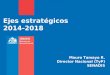 Ejes estratégicos 2014-2018 Mauro Tamayo R. Director Nacional (TyP) SENADIS