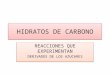 HIDRATOS DE CARBONO REACCIONES QUE EXPERIMENTAN DERIVADOS DE LOS AZUCARES REACCIONES QUE EXPERIMENTAN DERIVADOS DE LOS AZUCARES