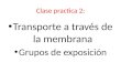 Clase practica 2: Transporte a través de la membrana Grupos de exposición