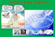 LA REVOLUCIÓN GENÉTICA. Índice I.- Introducción a la revolución genética. II.- Las tecnologías del ADN recombinante y la ingeniería genética. III.- Aplicaciones
