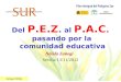 Zaitegi, Nélida Del P.E.Z. al P.A.C. pasando por la comunidad educativa Nélida Zaitegi Sevilla 13/11/2012