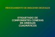 PROCESAMIENTO DE IMÁGENES DIGITALES ETIQUETADO DE COMPONENTES CONEXAS EN ÁRBOLES CUADRÁTICOS