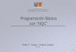 Programación Básica con “NQC” Pedro F. Toledo – Patricio Castillo 15/08/2006