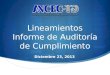 Lineamientos Informe de Auditoría de Cumplimiento Diciembre 23, 2013